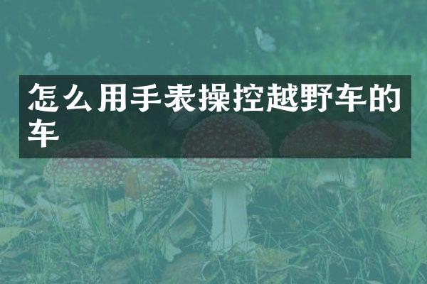 怎么用手表操控越野车的车