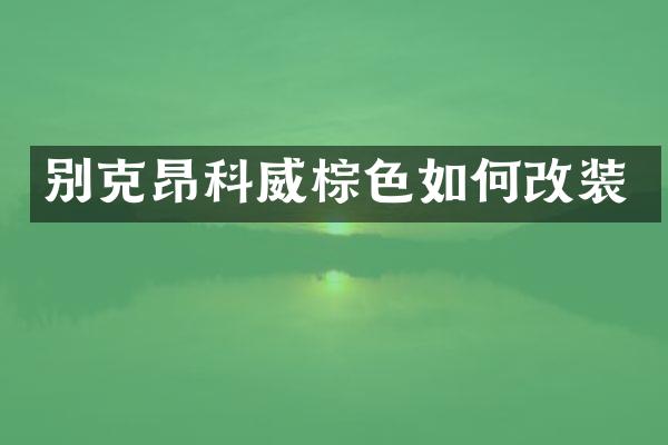 别克昂科威棕色如何改装