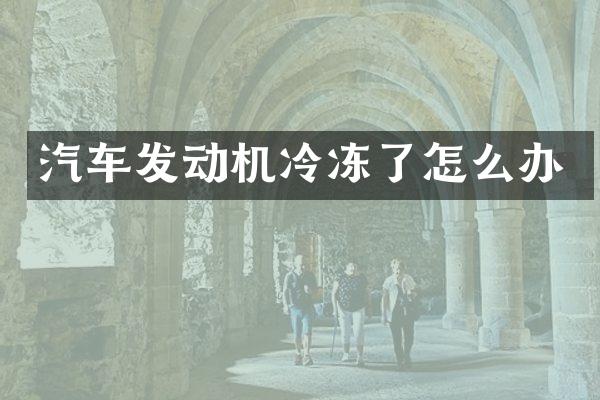 汽车发动机冷冻了怎么办
