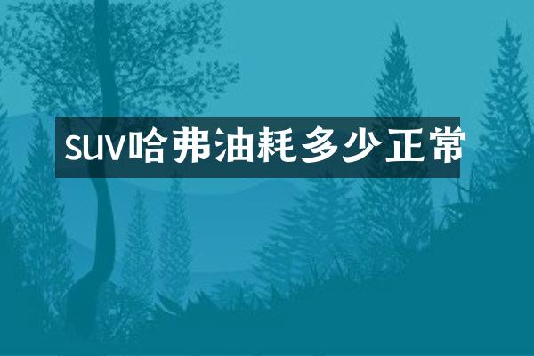 suv哈弗油耗多少正常