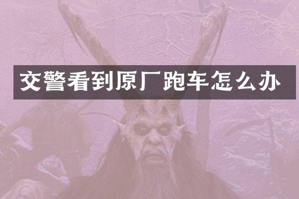 交警看到原厂跑车怎么办