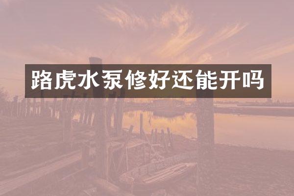 路虎水泵修好还能开吗
