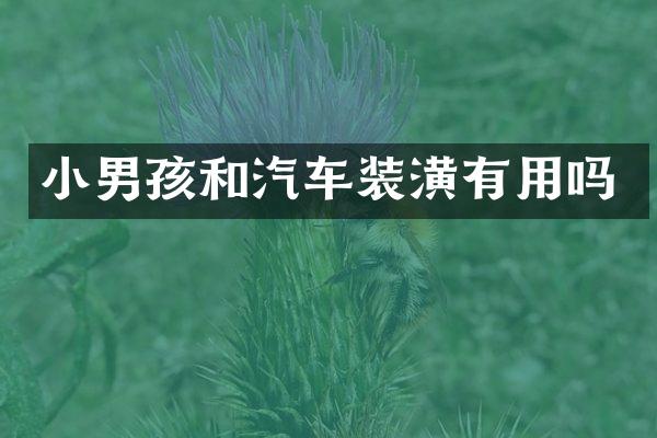 小男孩和汽车装潢有用吗