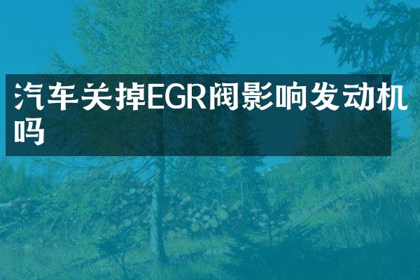 汽车关掉EGR阀影响发动机吗