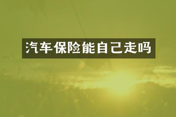 汽车保险能自己走吗