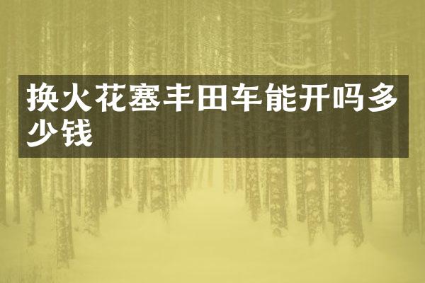 换火花塞丰田车能开吗多少钱