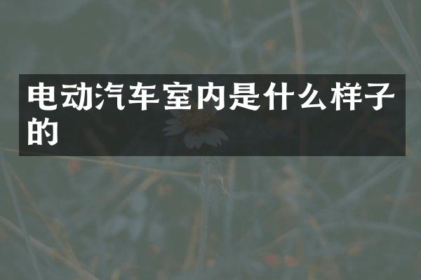 电动汽车室内是什么样子的