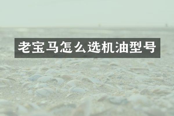 老宝马怎么选机油型号