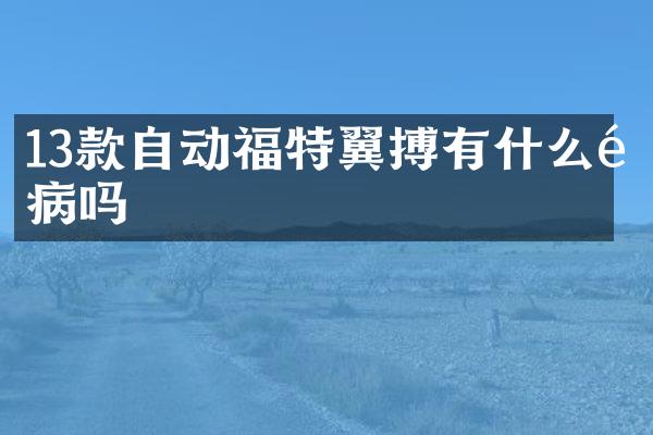 13款自动福特翼搏有什么通病吗