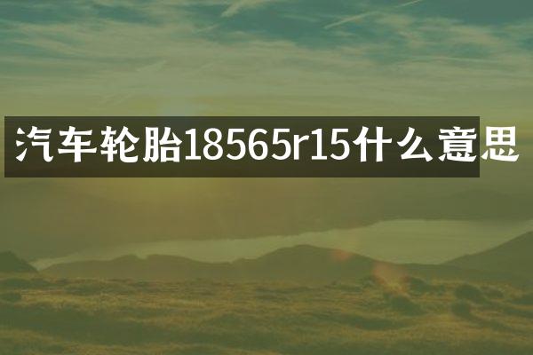 汽车轮胎18565r15什么意思