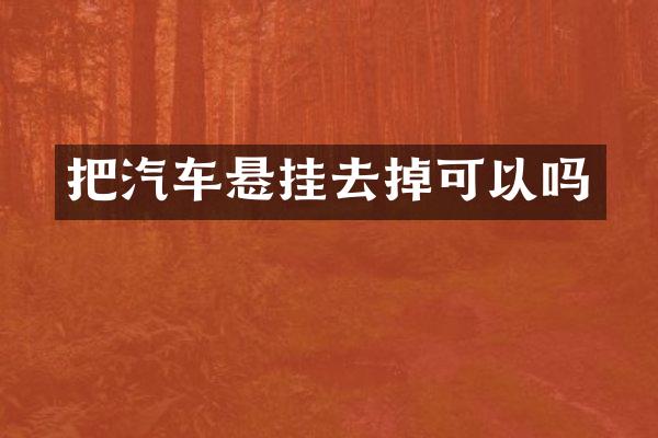 把汽车悬挂去掉可以吗