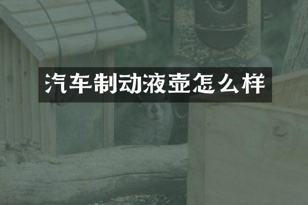 汽车制动液壶怎么样