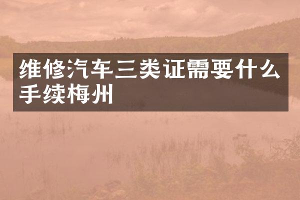 维修汽车三类证需要什么手续梅州