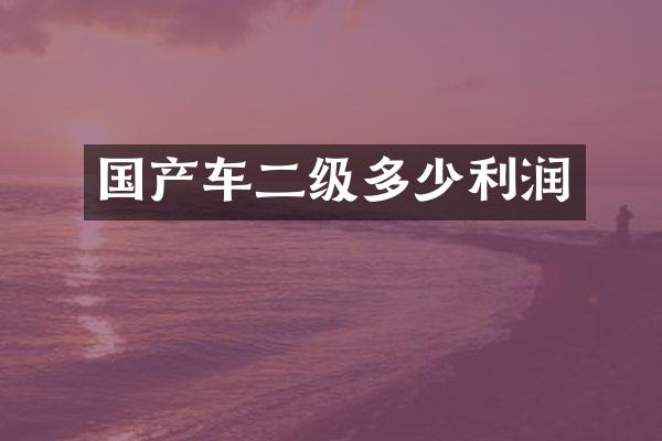 国产车二级多少利润