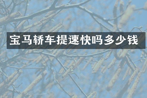 宝马轿车提速快吗多少钱