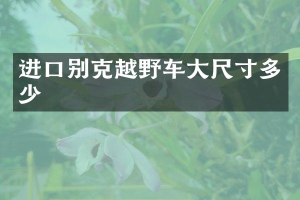 进口别克越野车大尺寸多少
