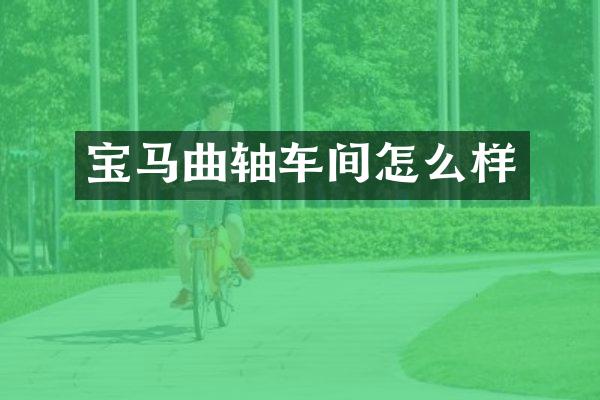 宝马曲轴车间怎么样