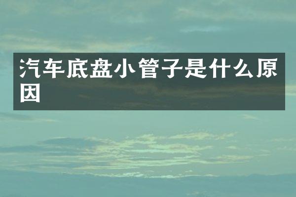汽车底盘小管子是什么原因