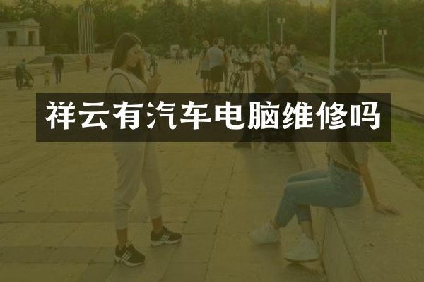祥云有汽车电脑维修吗
