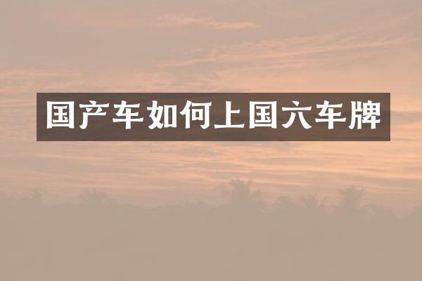 国产车如何上国六车牌