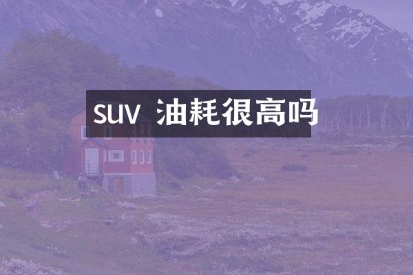 suv 油耗很高吗