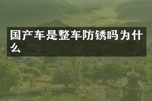 国产车是整车防锈吗为什么