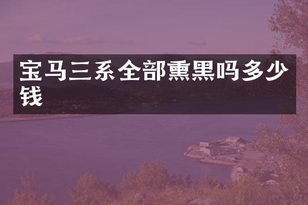 宝马三系全部熏黑吗多少钱
