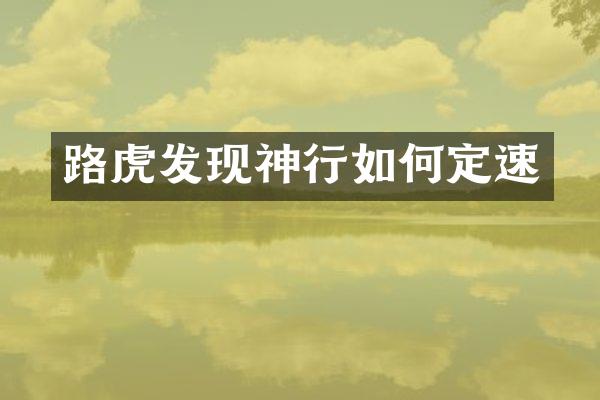 路虎发现神行如何定速