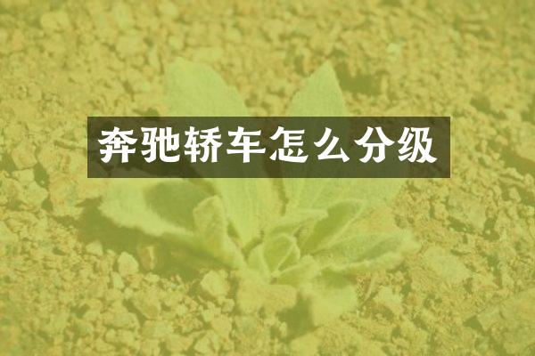 奔驰轿车怎么分级