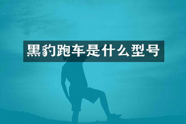 黑豹跑车是什么型号