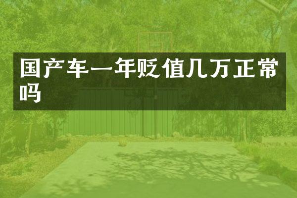 国产车一年贬值几万正常吗