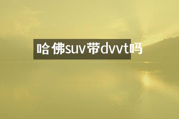 哈佛suv带dvvt吗