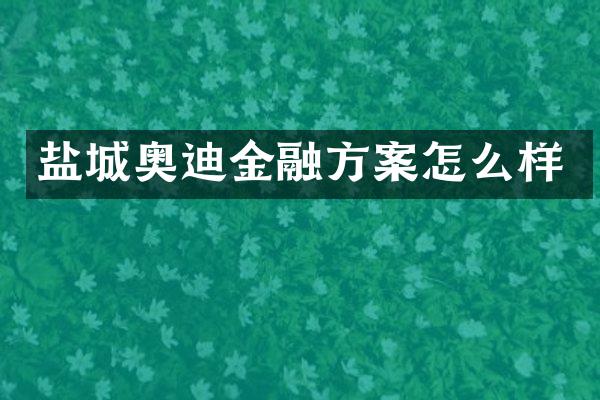 盐城奥迪金融方案怎么样