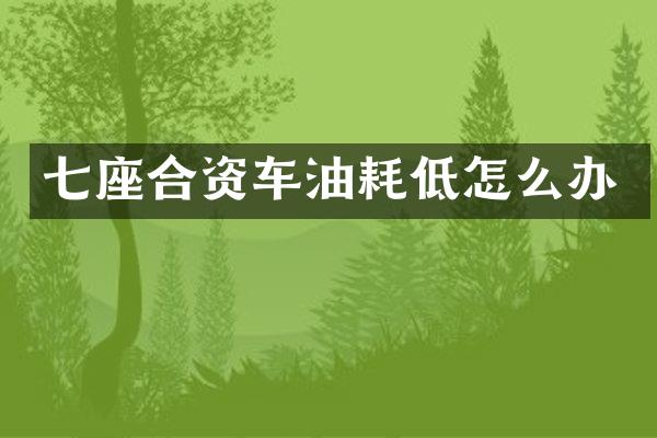 七座合资车油耗低怎么办