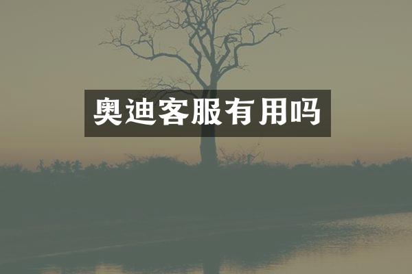 奥迪客服有用吗
