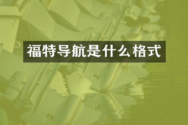 福特导航是什么格式