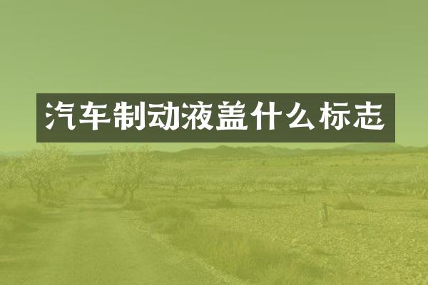 汽车制动液盖什么标志