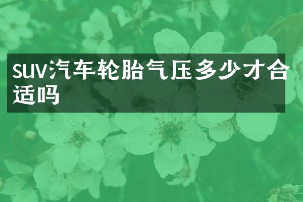 suv汽车轮胎气压多少才合适吗
