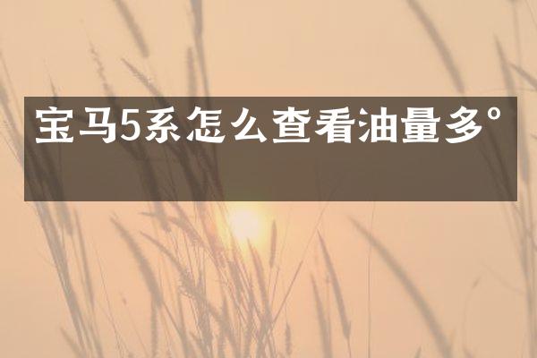 宝马5系怎么查看油量多少