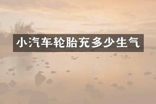 小汽车轮胎充多少生气