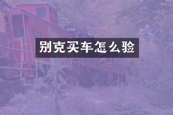 别克买车怎么验