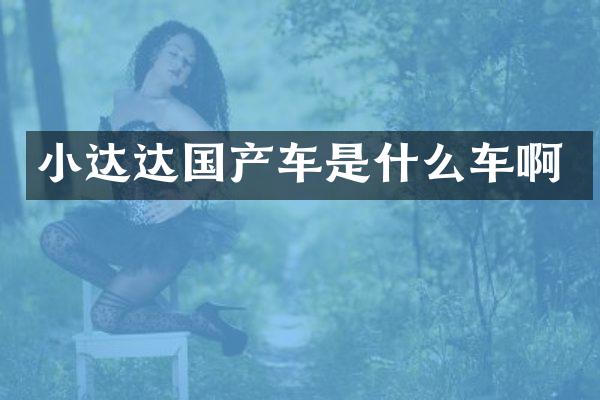 小达达国产车是什么车啊