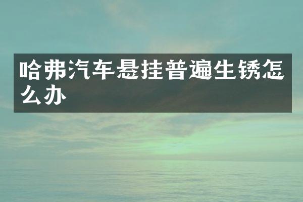 哈弗汽车悬挂普遍生锈怎么办