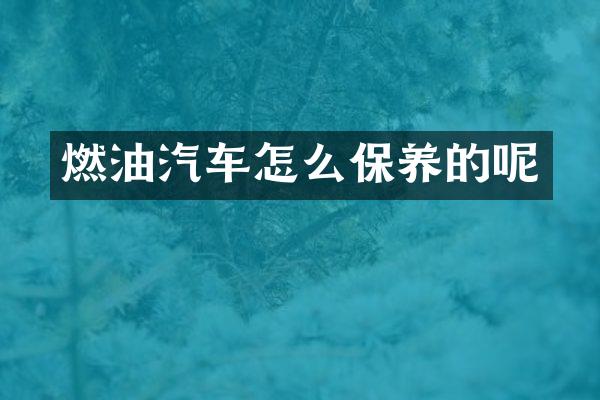 燃油汽车怎么保养的呢