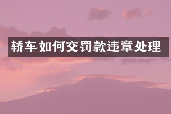 轿车如何交罚款违章处理