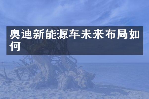 奥迪新能源车未来布局如何