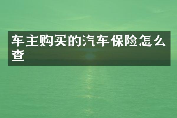 车主购买的汽车保险怎么查
