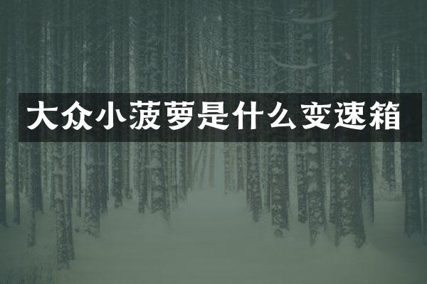 大众小菠萝是什么变速箱