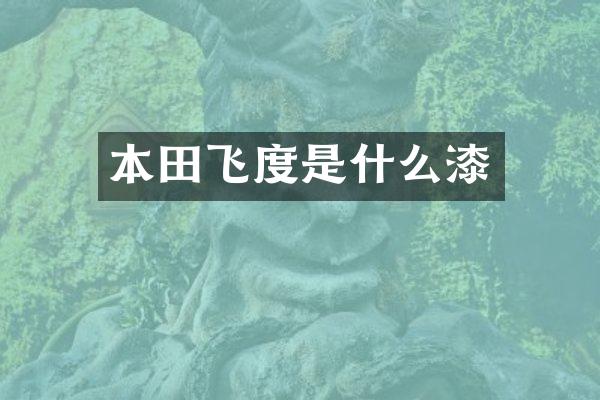 本田飞度是什么漆