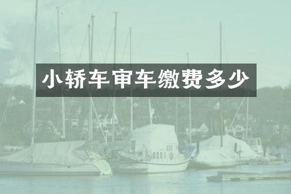 小轿车审车缴费多少